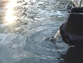 足だけ浸けて気軽に温泉気分　ぬくぬく幸せ北海道「足湯」図鑑