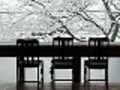 京都人に人気のお店　vol.25　雪に桜！絶景のヘルシー和食処