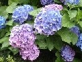 【2004年６月】気候・服装・遊びプラン・イベント日程　６月のお遊びプラン＆イベント