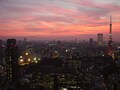 貿易センタービル展望台で癒しの東京夕景