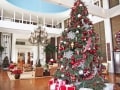 季節限定！ ワイキキホテルのクリスマスツリーを見学