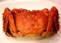 香港美食レストラン vol.3【銅鑼湾】　シーズン終了間近の上海蟹を食す
