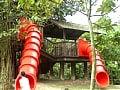 自然と遊ぶ！学ぶ！アジア初の子供専用公園