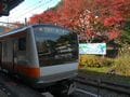秋におすすめの鉄道旅行