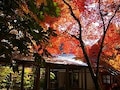 秋におすすめの寺と神社