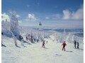 スキー保険・スノーボード保険は1日契約可？