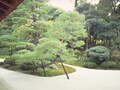 果報は寝て待て？ 長期運用のすすめ