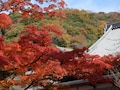 鎌倉の紅葉スポット7選と紅葉散策モデルコース