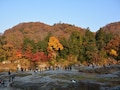 宝登山×荒川×紅葉のコラボが絶景！長瀞の秋