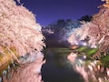 東日本のおすすめお花見スポット