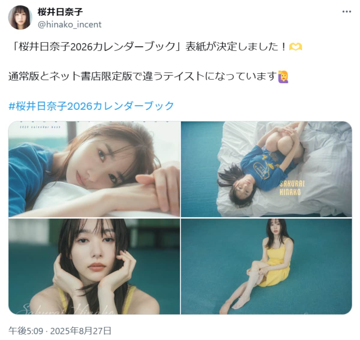 画像出典：桜井日奈子さん公式X（@hinako_incent）