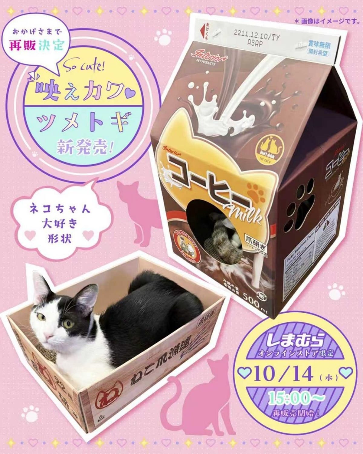 爪とぎハウス