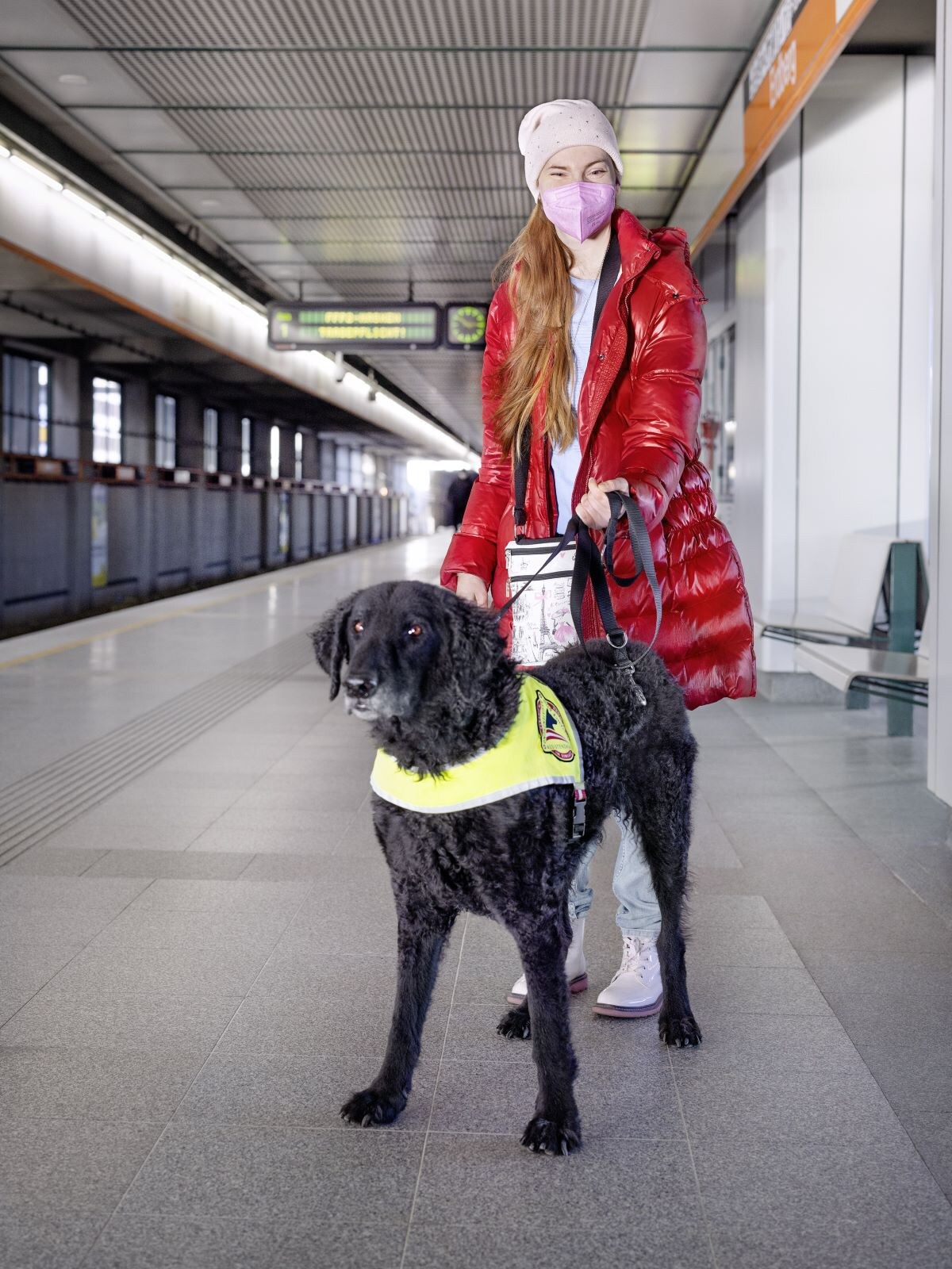 ヨーロッパで盲導犬や介助犬は街中で日常的に見かける存在（画像出典：Alexandra Gritsevskaja）