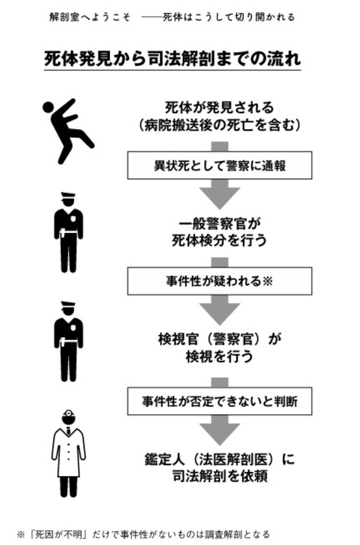 死体発見から司法解剖までの流れ