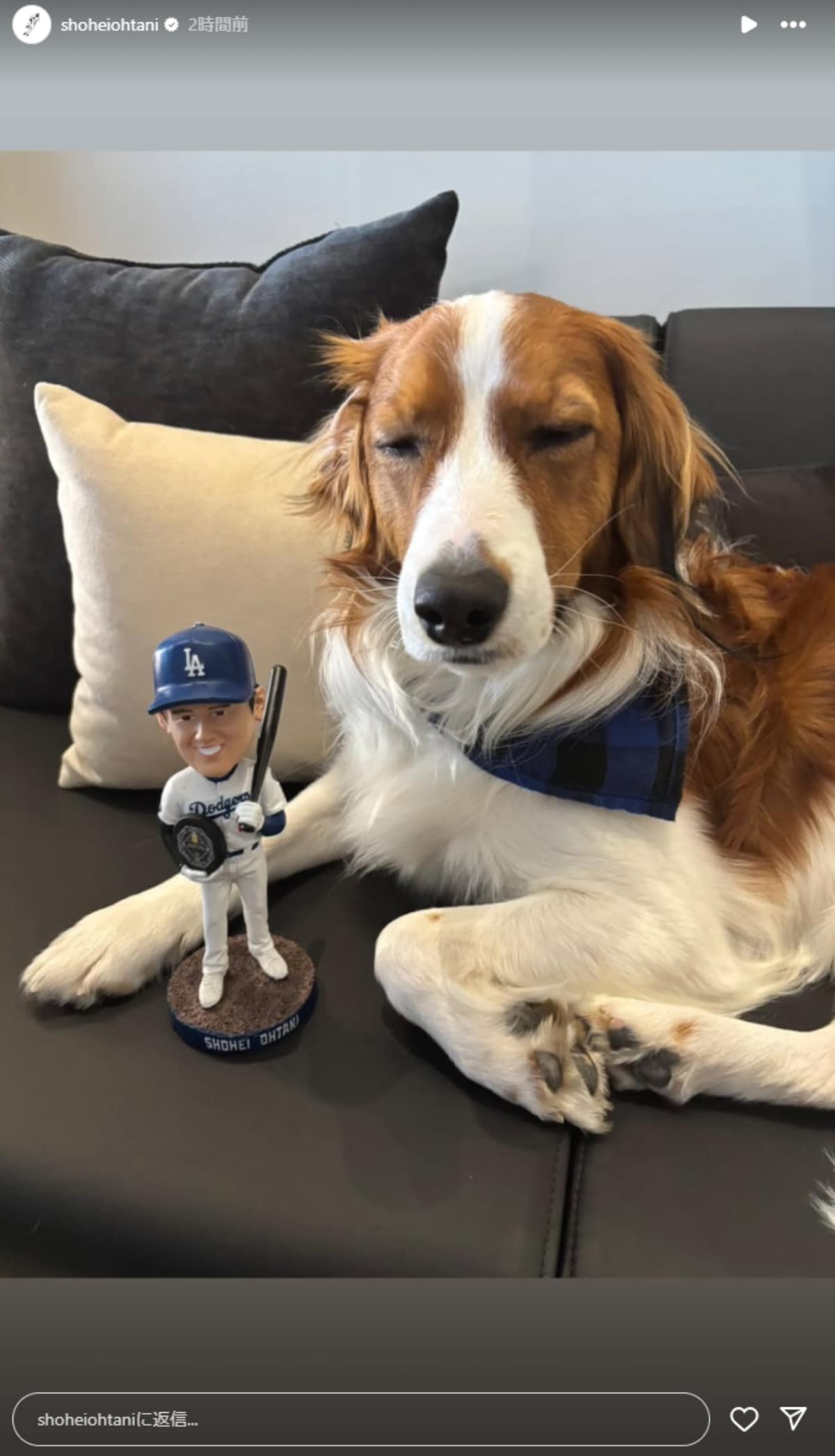 画像出典：大谷翔平選手公式Instagram（@shoheiohtani）