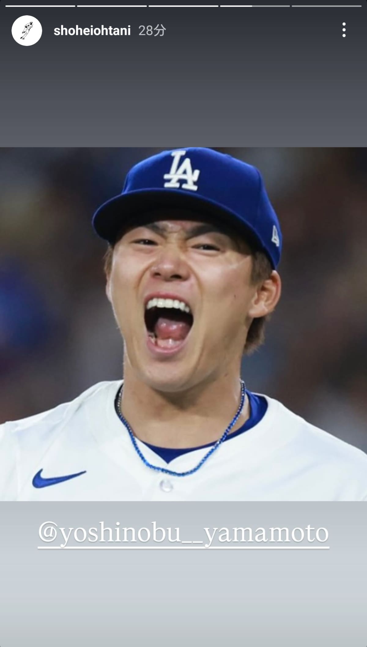 画像出典:大谷翔平選手公式Instagram(@shoheiohtani)