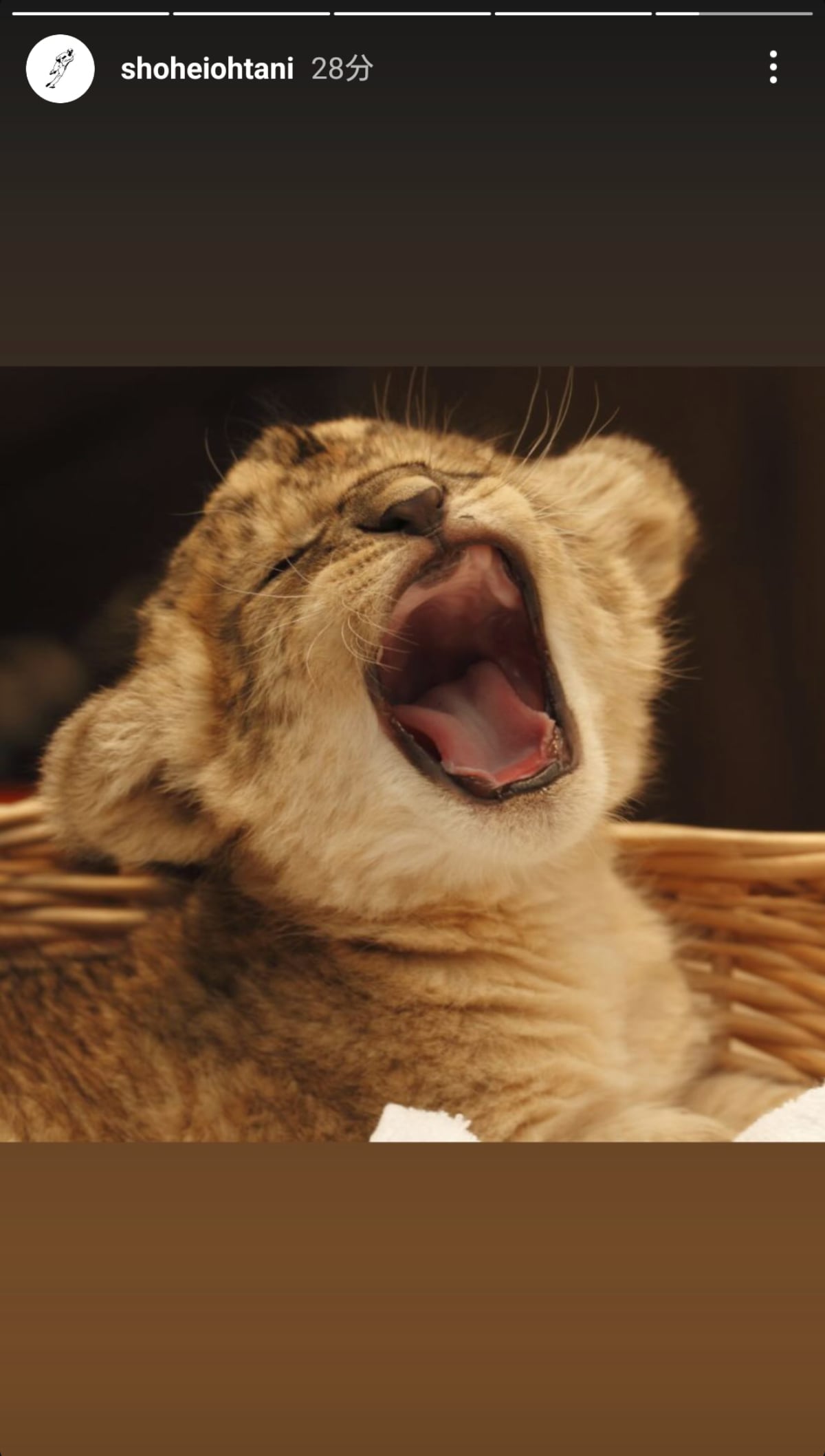 画像出典：大谷翔平選手公式Instagram（@shoheiohtani）