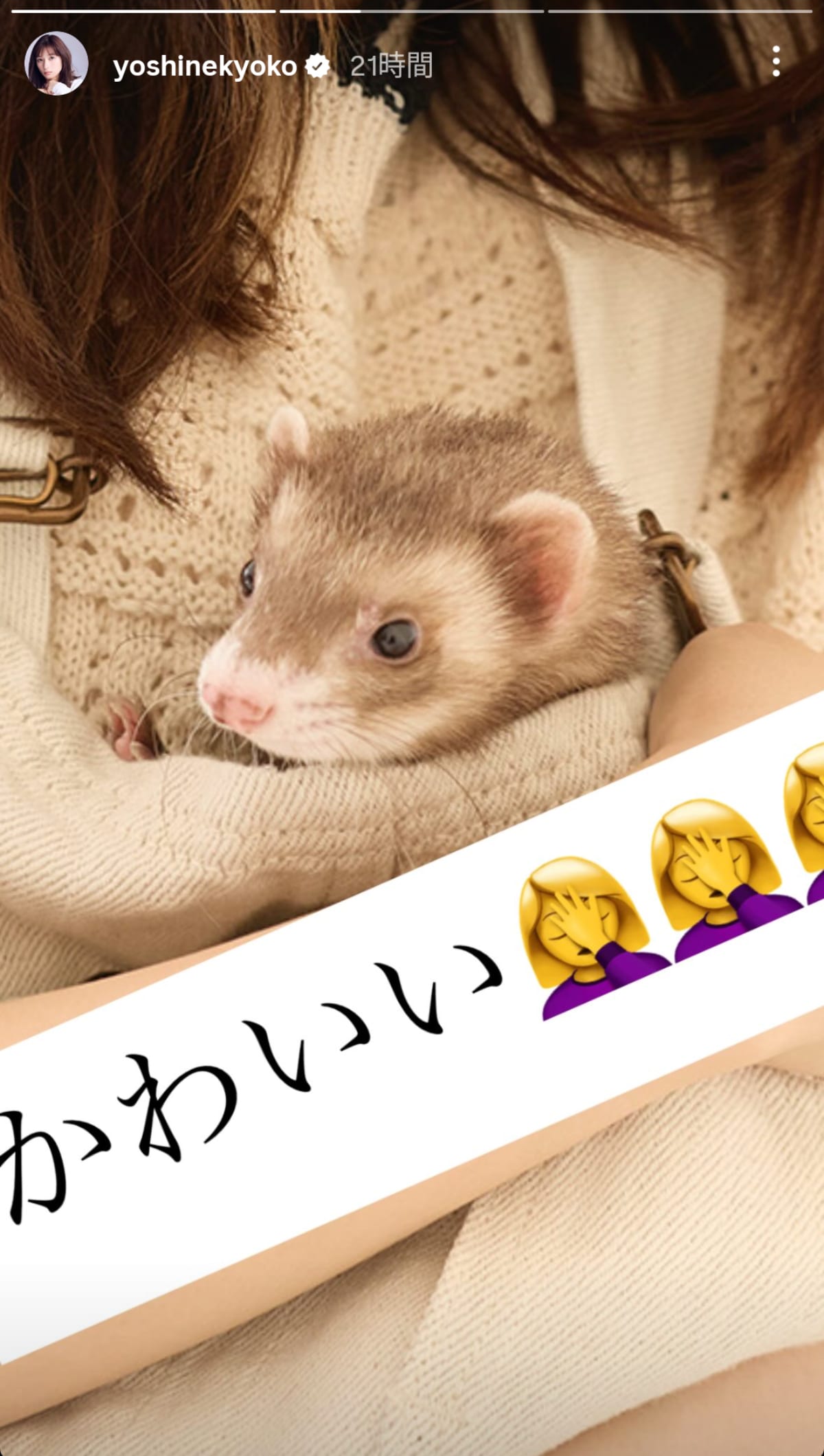 画像出典：芳根京子さん公式Instagram（@yoshinekyoko）