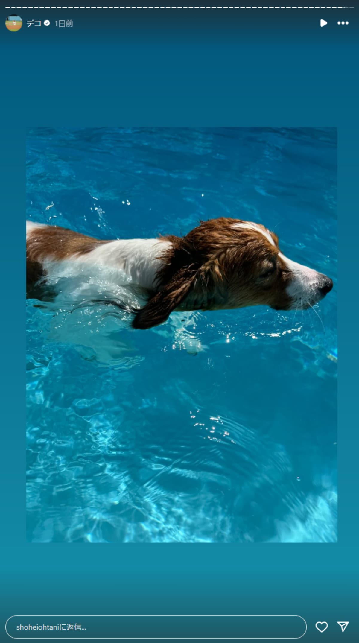 画像出典：大谷翔平選手公式Instagram（@shoheiohtani）