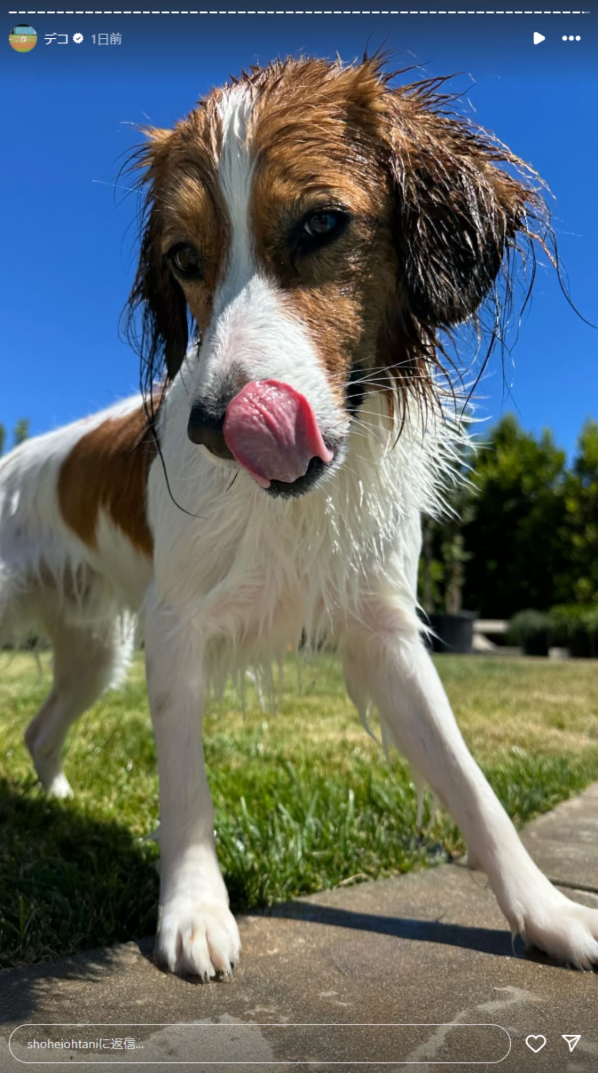 画像出典：大谷翔平選手公式Instagram（@shoheiohtani）