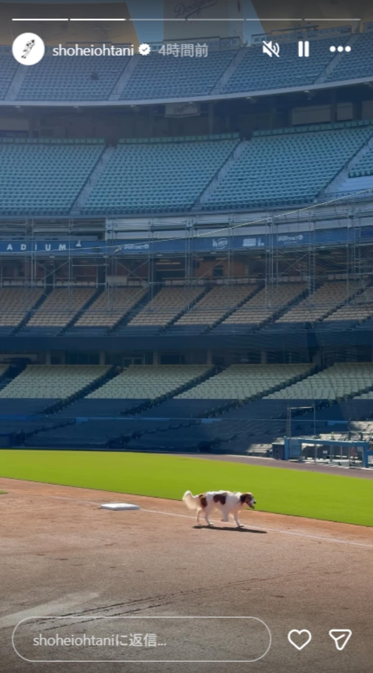 画像出典：大谷翔平選手公式Instagram（@shoheiohtani）