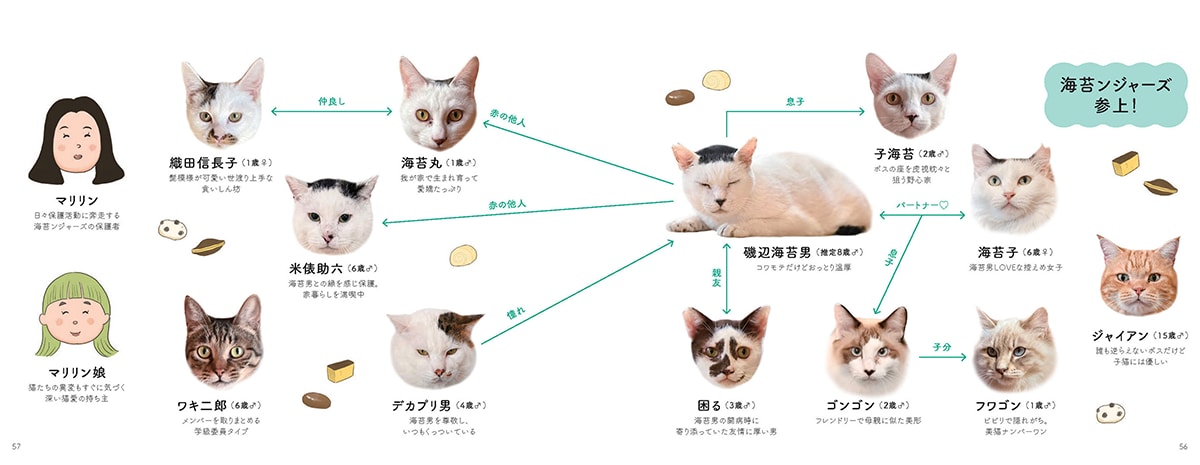 画像出典：『磯辺海苔男という猫』（辰巳出版）