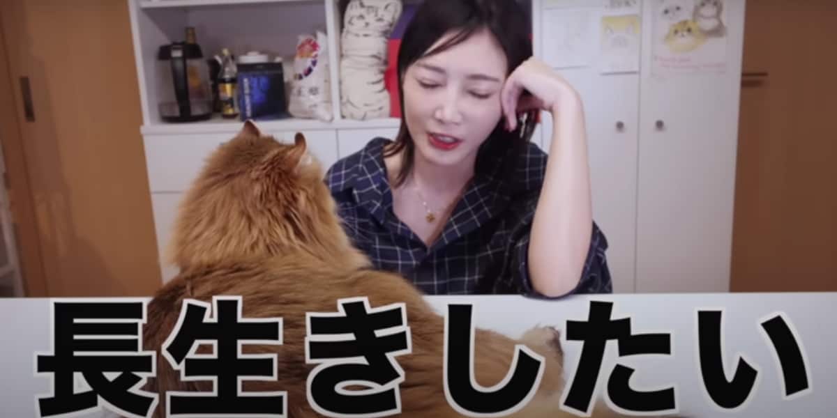 画像出典：木下ゆうかさんYouTube（@kinoyuu0204  ）