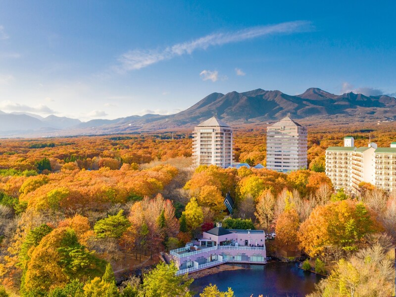 画像出典：楽天トラベル