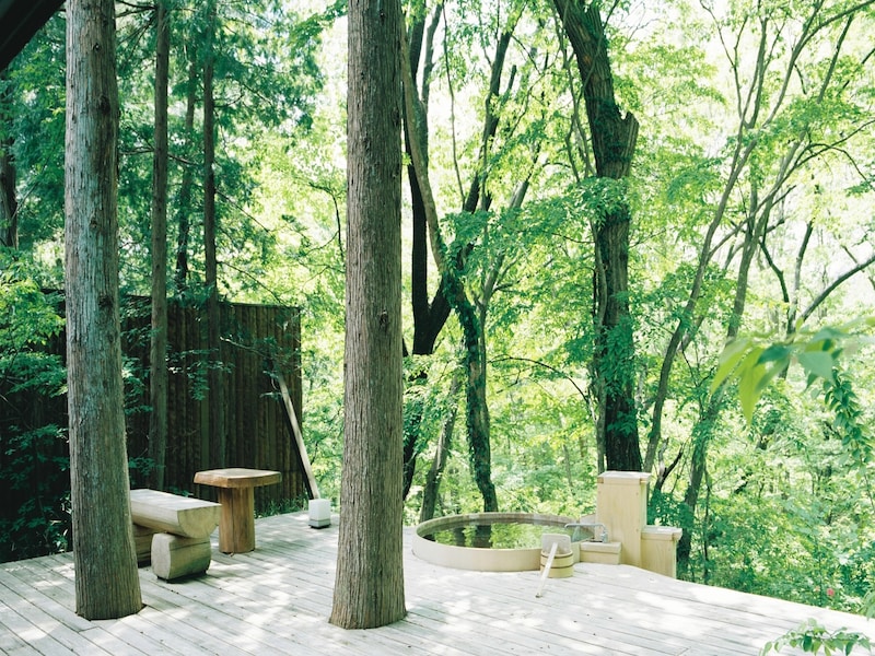 温泉山荘だいこんの花