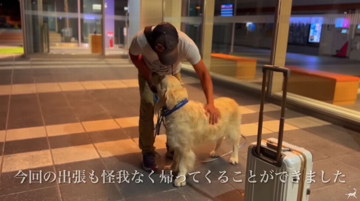 画像出典：YouTubeチャンネル「コール家～しあわせを運ぶ犬～」（@ImCallingYou）