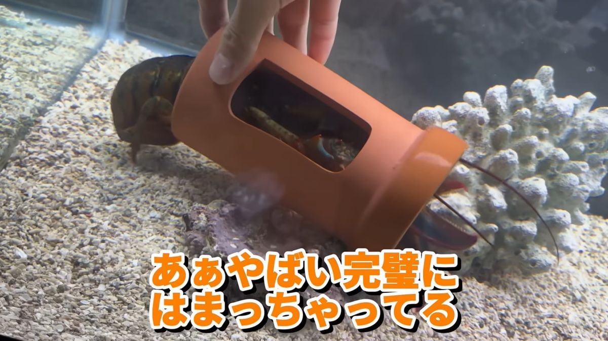 画像出典：YouTubeチャンネル「水ラーメン」（@waterramen）