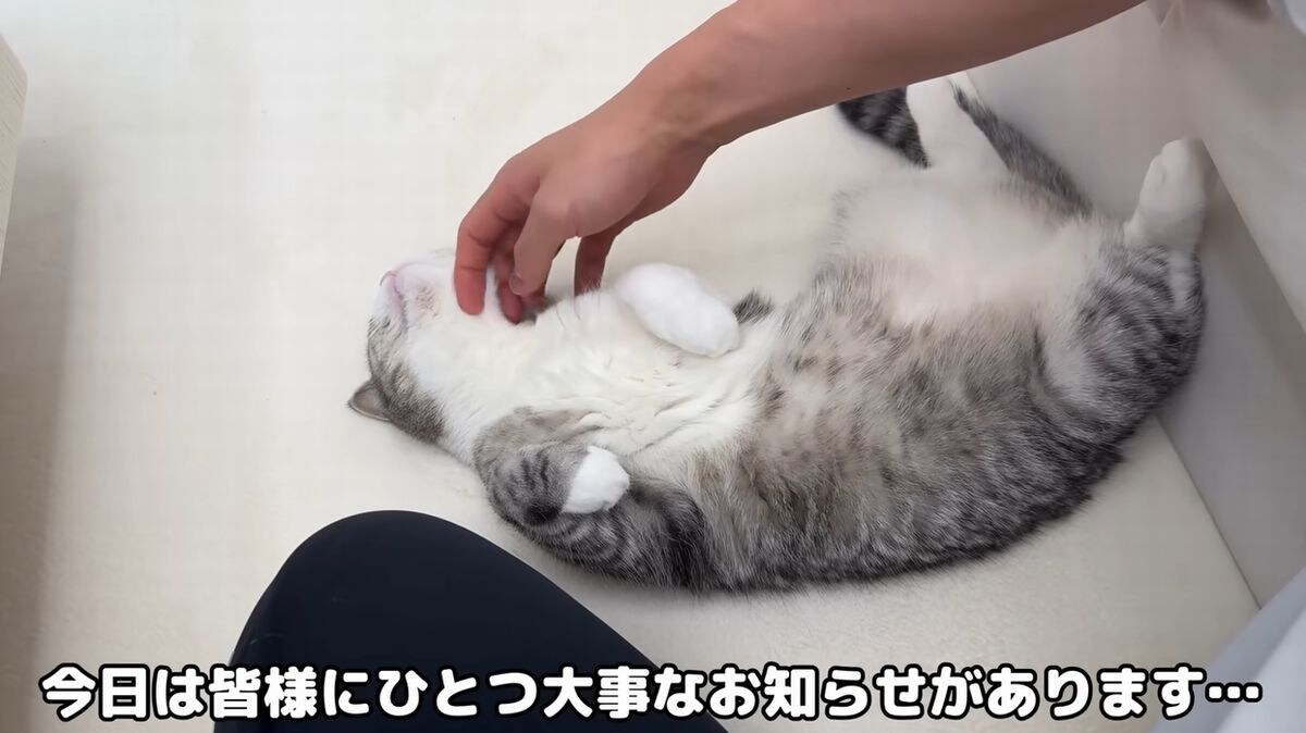 画像出典：YouTubeチャンネル「もちまる日記」（@motimaru）https://www.youtube.com/@motimaru