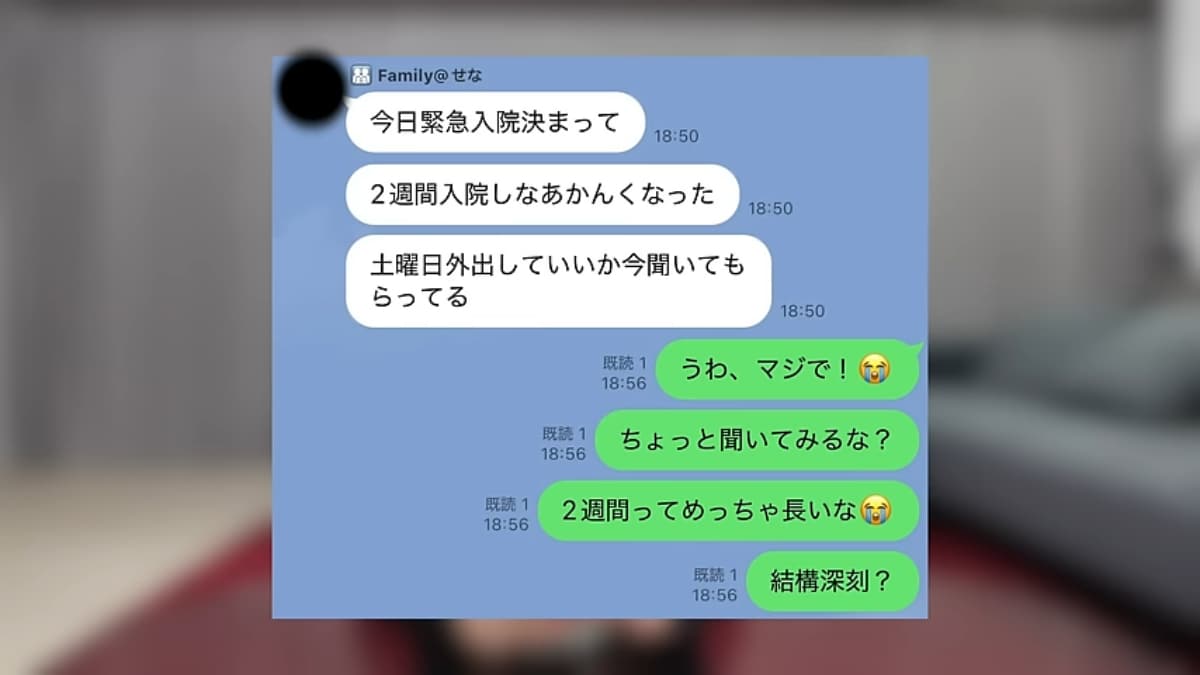 画像出典：「こたせな」公式YouTubeチャンネル（@KotaSena2023）より