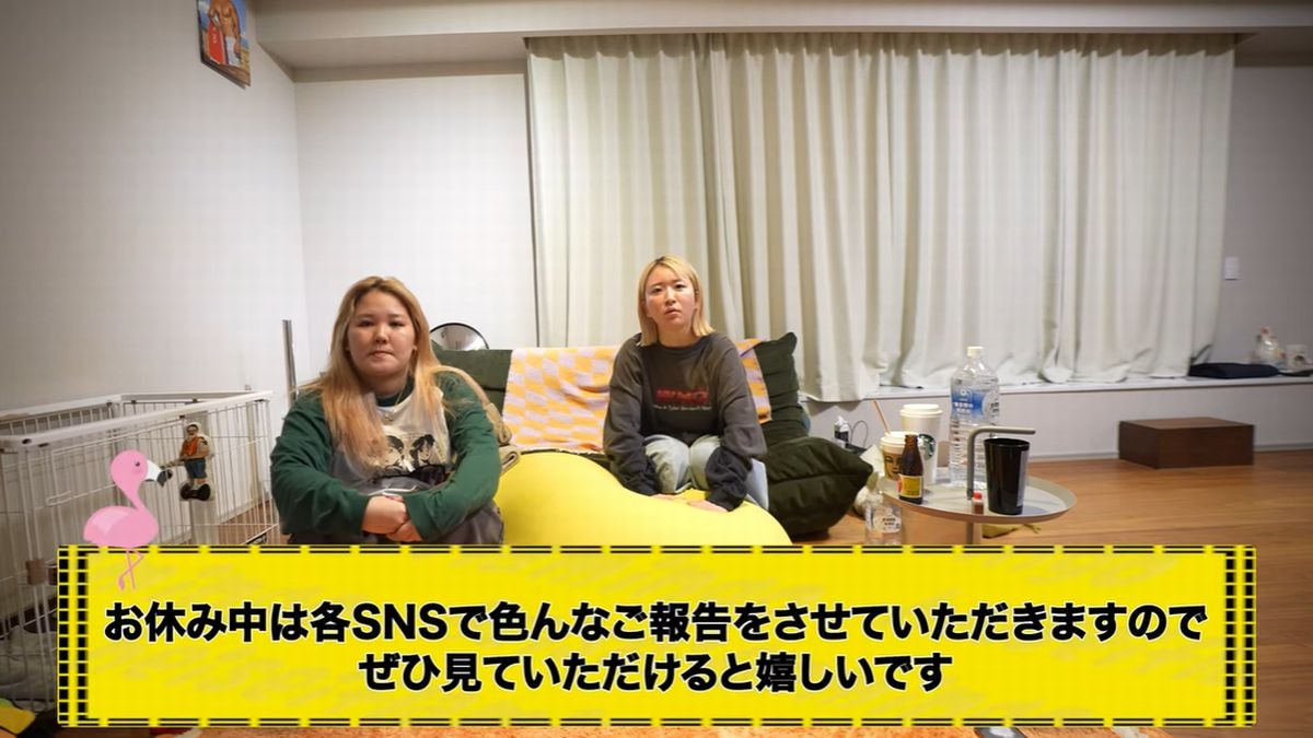 画像出典：YouTubeチャンネル「平成フラミンゴ」（@HeiseiFlamingo）