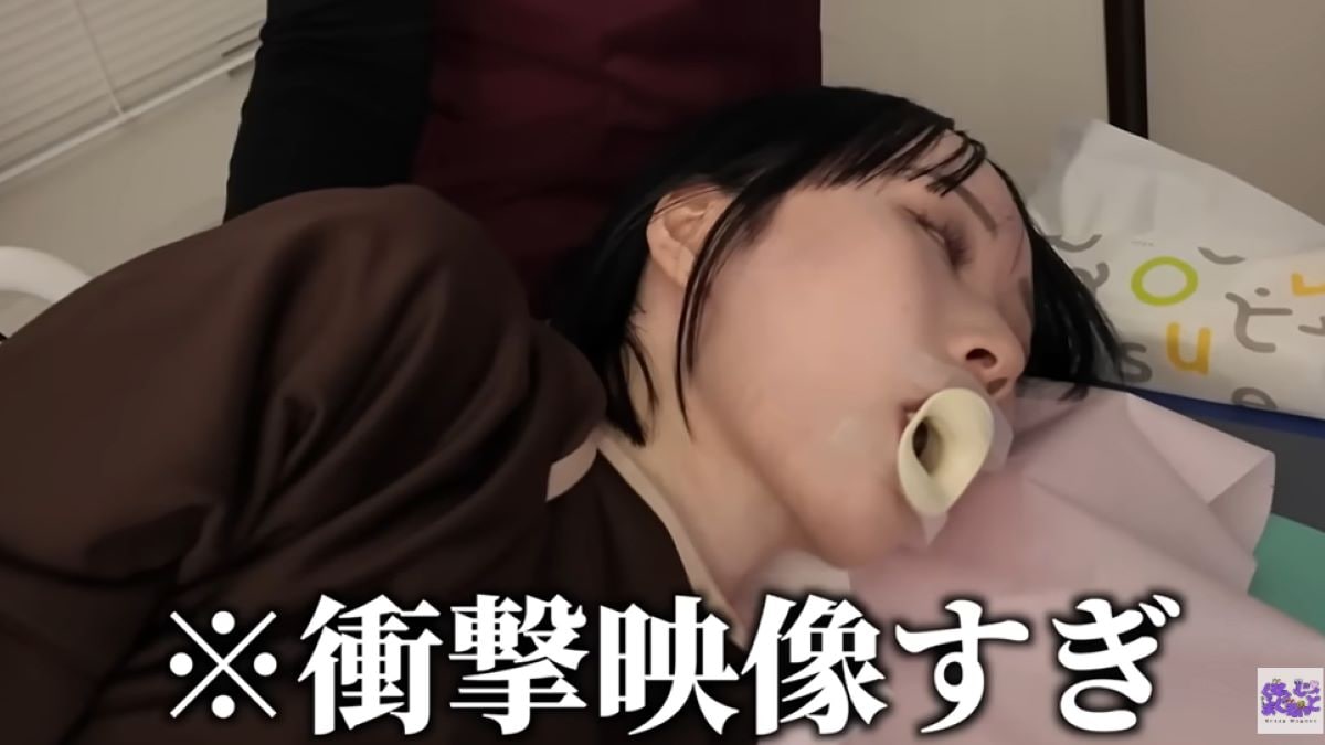 くれいじーまぐねっと