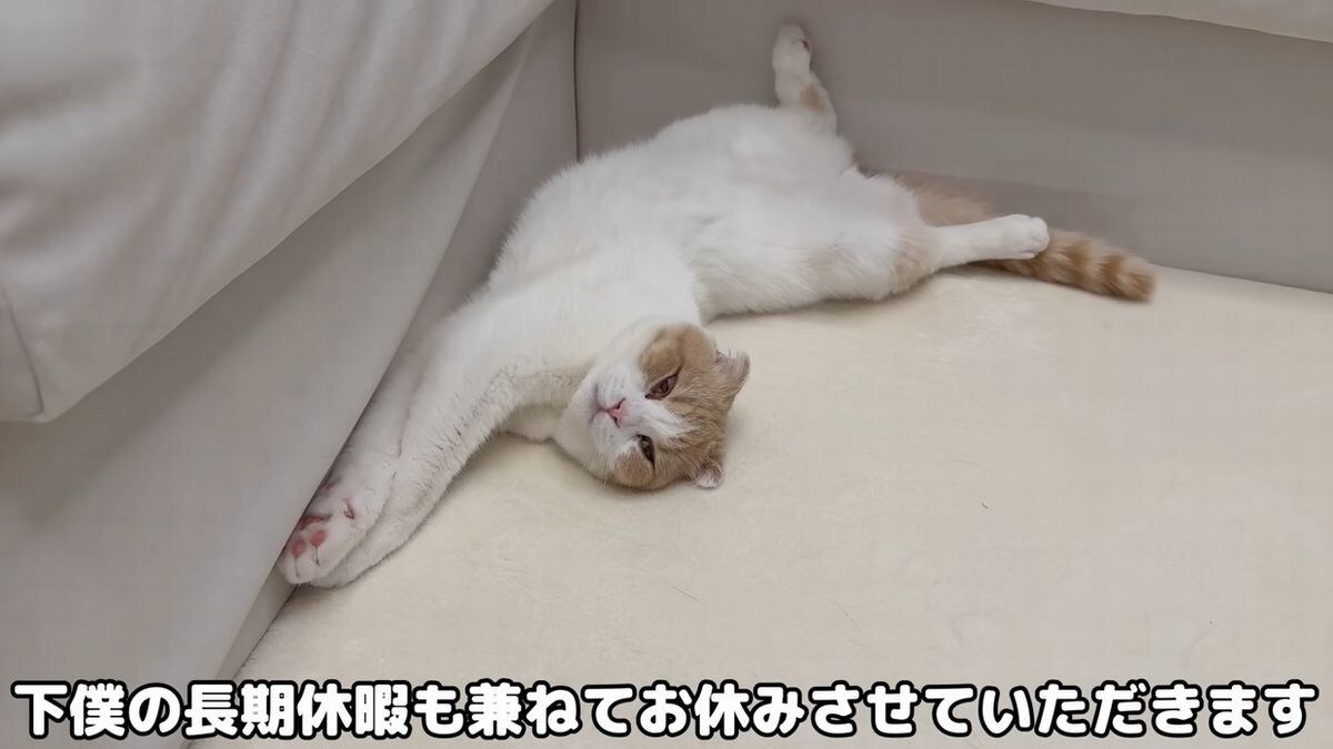 画像出典：YouTubeチャンネル「もちまる日記」（@motimaru）