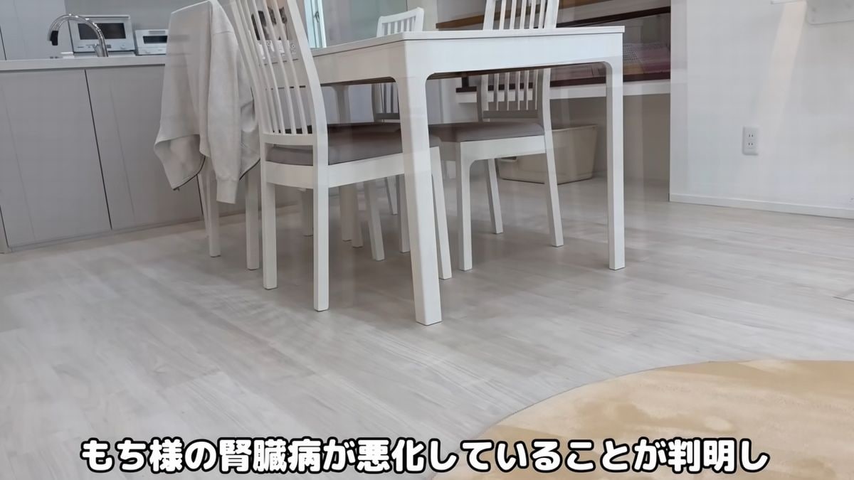 画像出典：YouTubeチャンネル「もちまる日記」（@motimaru）https://www.youtube.com/@motimaru/videos