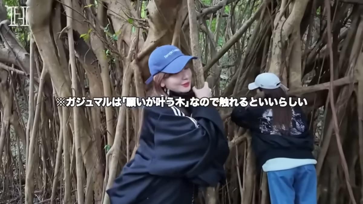 画像出典：小嶋陽菜さん公式YouTube（@HarunaKojima）