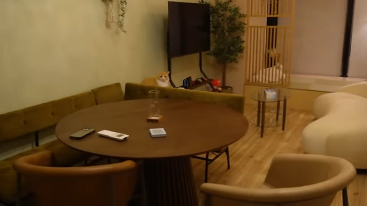 画像出典：加藤乃愛さん公式YouTube（@加藤乃愛です）