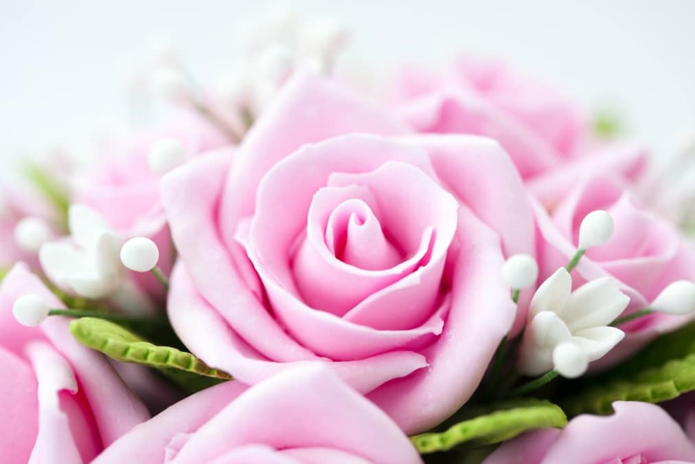 ソープフラワーのおすすめ人気ランキング21選｜母の日の贈り物として最適！花束やブーケタイプも紹介