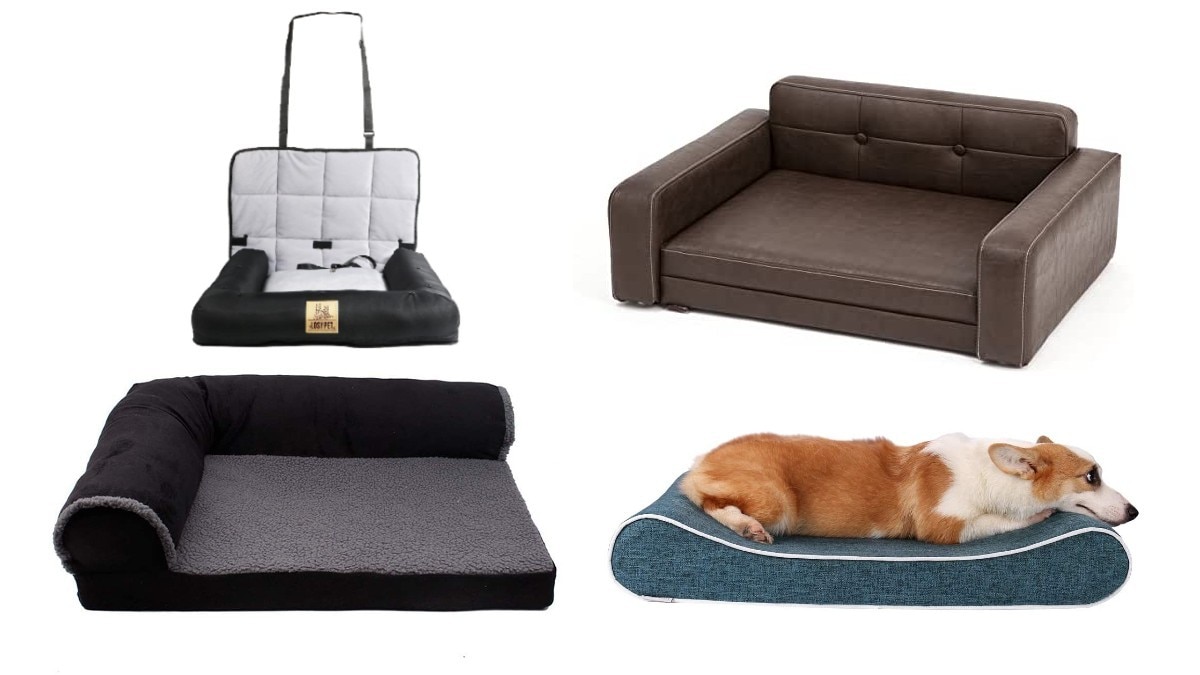 犬用ソファーのおすすめ10選｜ベッド型などに注目！掘る原因や布カバー