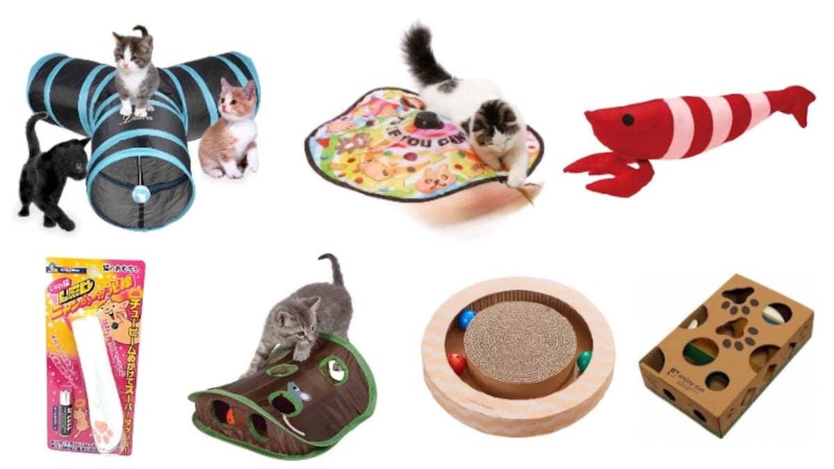 猫用おもちゃのおすすめ人気ランキング16選｜自動タイプや飽きないもの、安全な商品も紹介