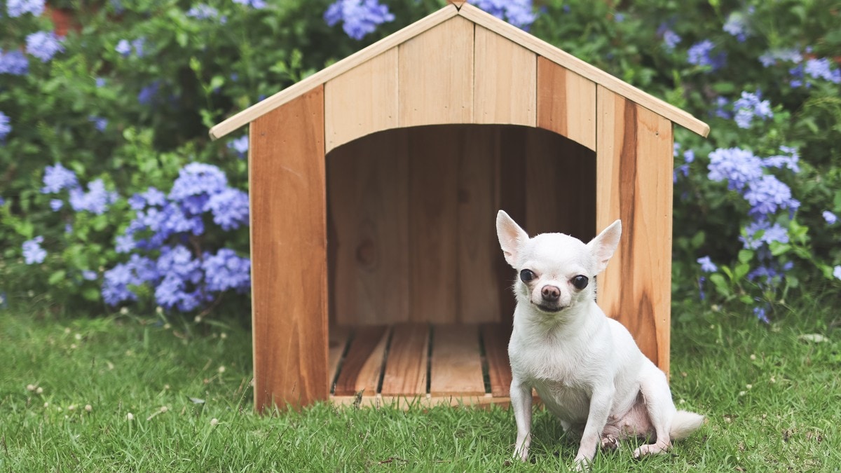 ペットハウス 犬小屋 大型 木製 中型犬 小型犬 に最適 犬小屋DGH9024S-