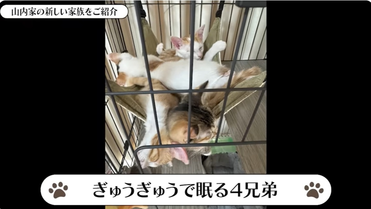 かまいたち・やまうち界隈