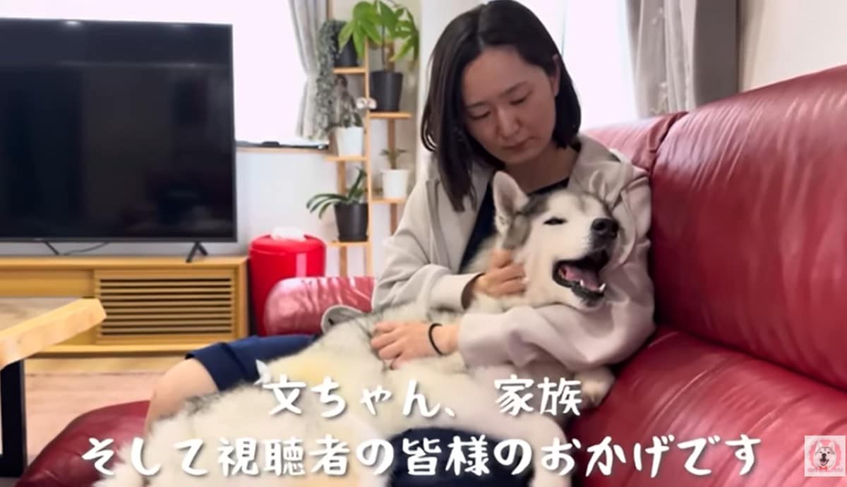 プピプピ文太YouTubeチャンネル