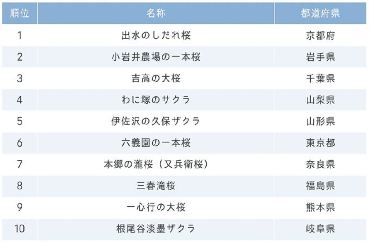 『じゃらん』会いに行きたい一本桜ランキング（画像出典：プレスリリース）