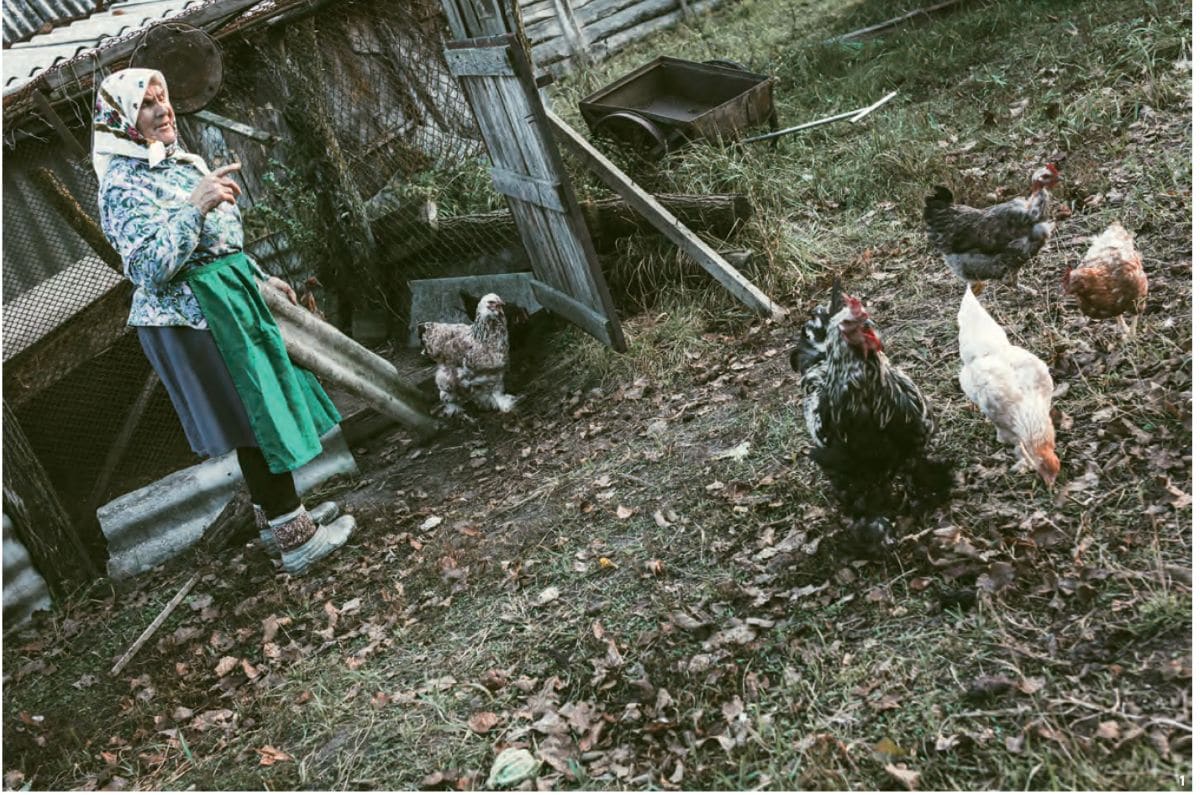 生まれ育った場所で死にたい、故郷への渇望。サマショールたちは静かな余生を過ごしているが、高齢化により人数は減少の一途を辿っている。