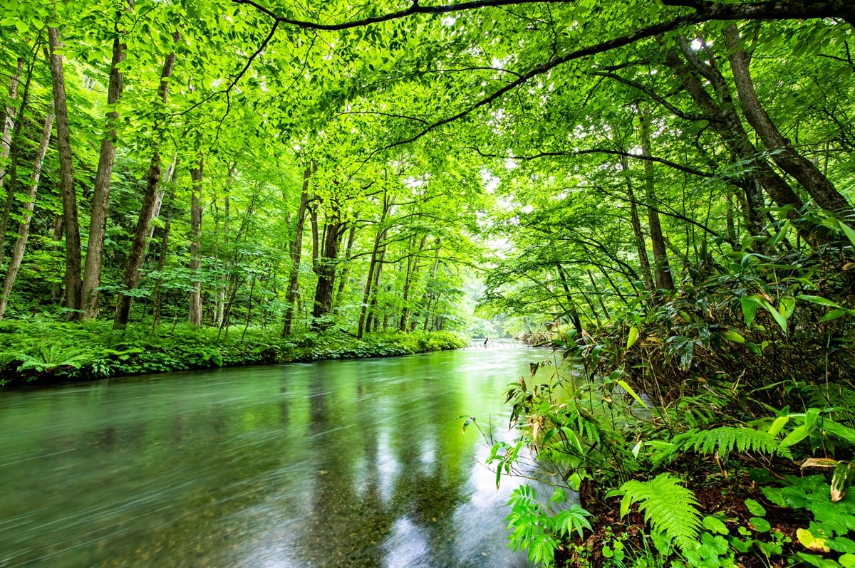 好き＆行ってみたい「青森県の森林浴スポット」ランキング