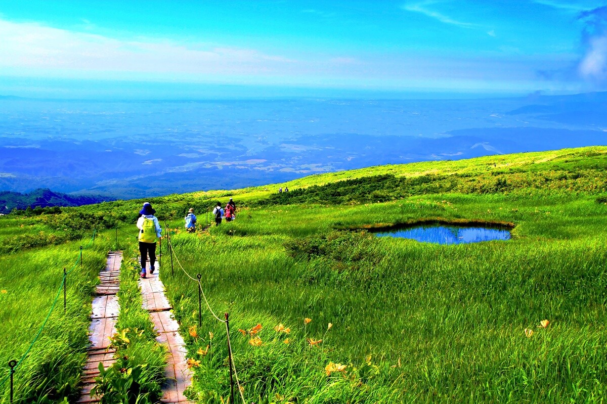 好き＆行ってみたい「山形県の森林浴スポット」ランキング