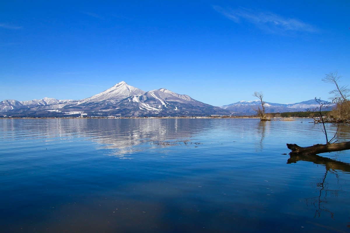 好き＆行ってみたい「福島県の森林浴スポット」ランキング